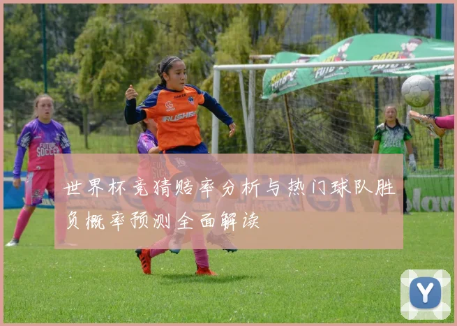 世界杯竞猜赔率分析与热门球队胜负概率预测全面解读