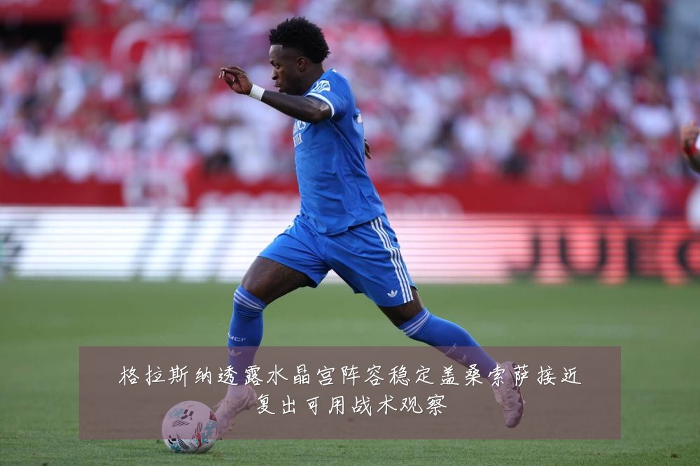 格拉斯纳透露水晶宫阵容稳定盖桑索萨接近复出可用战术观察